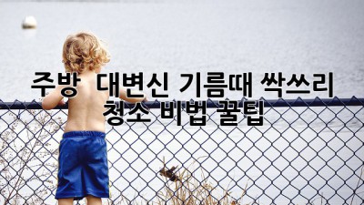 주방 ✨ 대변신! 기름때 싹쓰리 청소 비법 꿀팁🍯