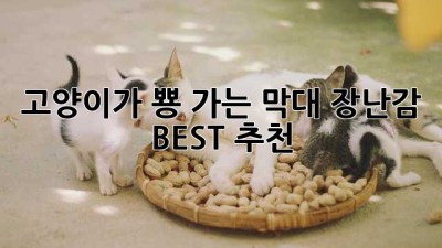 고양이가 뿅 가는 막대 장난감 BEST 추천!