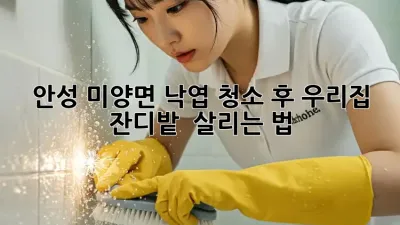 안성 미양면 낙엽 청소🍂 후, 우리집 잔디밭 🌱 살리는 법!
