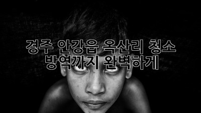 경주 안강읍 옥산리 청소, 방역까지 완벽하게!