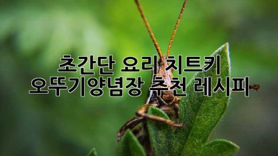 😋 초간단 요리 치트키! 오뚜기양념장 추천 레시피 🧑‍🍳