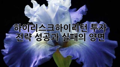 하이리스크하이리턴 투자 전략: 성공과 실패의 양면