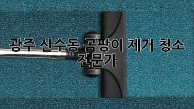 광주 산수동 곰팡이 제거 청소 전문가